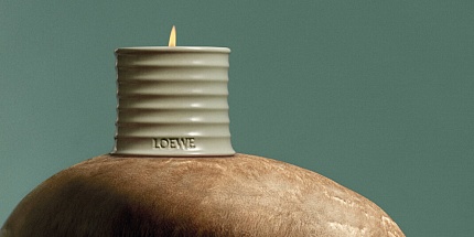 Loewe пополнили коллекцию для дома новыми ароматами Mushroom и Roasted Hazelnut