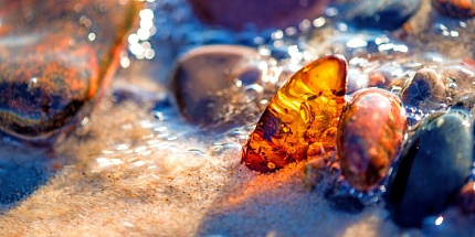 Балтийский берег: D.S. & Durga выпустили 40 Million Year Old Amber
