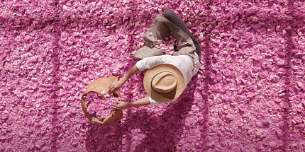Миллион майских роз: Dior выпустили Miss Dior Rose Essence
