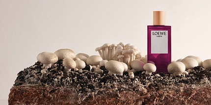 Модный дом Loewe представил унисекс-аромат Earth с нотой трюфеля