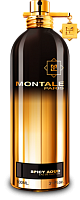 MONTALE SPICY AOUD