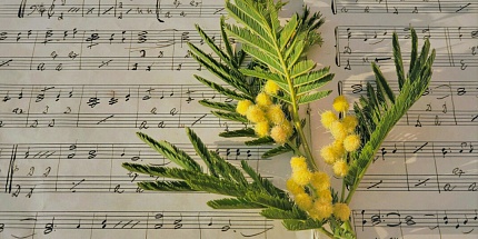 New Notes выпустили новый цветочный аромат Latte Mimosa