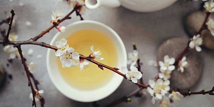 Chasing Scents представили аромат с экстрактом белого чая